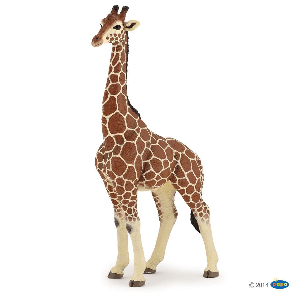 Girafe mâle – Papo