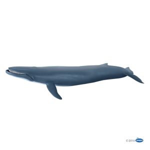 Baleine bleue – Papo 56037