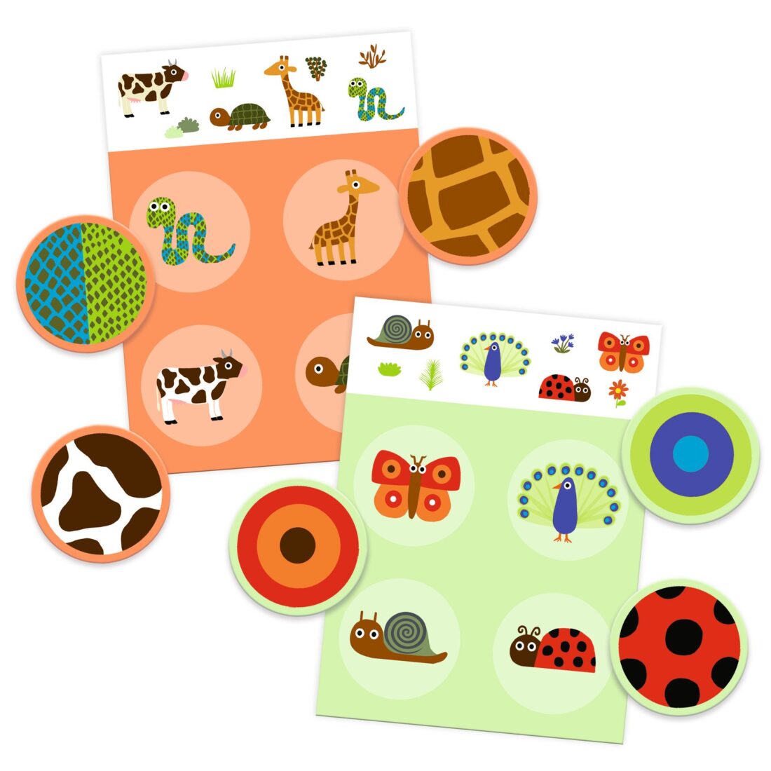 Loto Plumes et poils – Djeco 2023 – Image 2