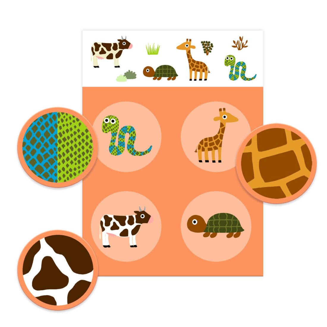 Loto Plumes et poils – Djeco 2023 – Image 4