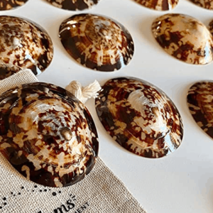 Coquillages d’Allaitement Nacre 100% Naturels Made in France