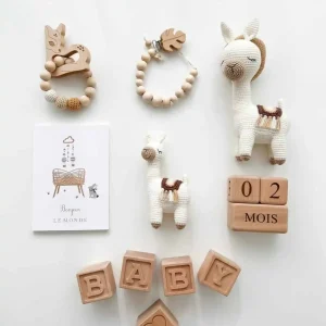 Grand Coffret Naissance les Premiers Jours 11 pièces