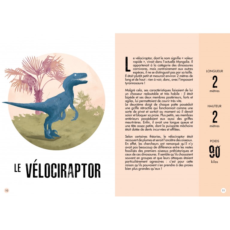 Stégosaure – Maquette 3D – Sassi – Image 5
